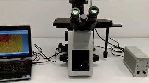 Olympus IX73 Inverted Microscope Relief Phase Contrast [BOSTONIND] - 13248