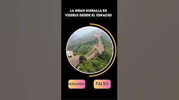 10 Preguntas Verdadero o Falso Que Engañarán Tu Mente 🧠💡