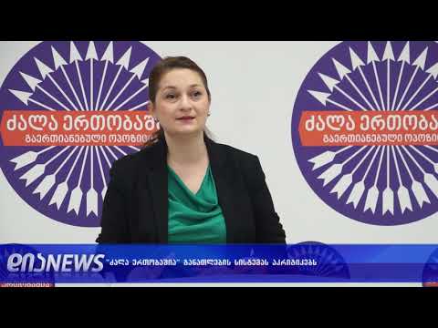 გაერთიანებული ოპოზიცია განათლების სისტემას აკრიტიკებს 22.01.2019