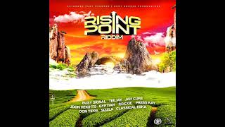 Rising Point Riddim Mix (Full) Feat. Jah Cure, Sizzla, Busy Signal, Gyptian, Teejay (April 2021)