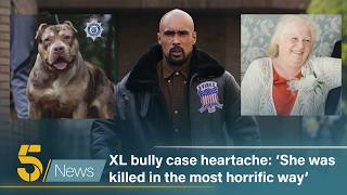 Celebrity XL bully case heartache: ‘She was killed in the most horrific way | 5 News Profile