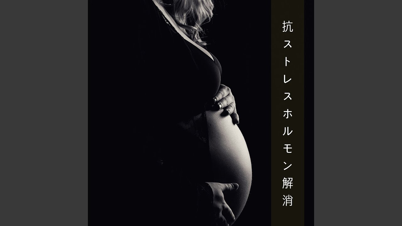 Sleduj こどものうた na YouTube