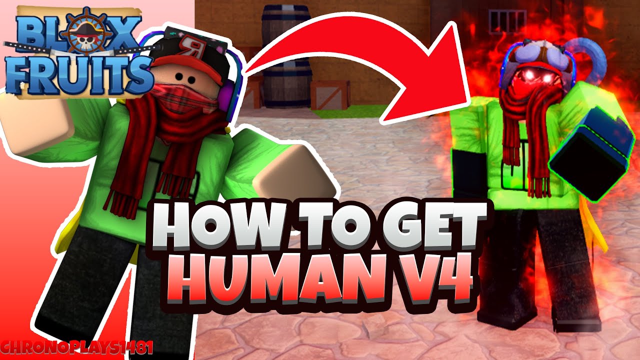 Getting Human V4 with Full Upgrade ( Guild ) + Showcase In Blox Fruits 