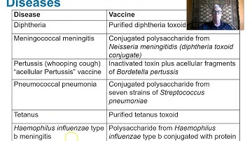 Ch 18 Practical Applications of Immunology
