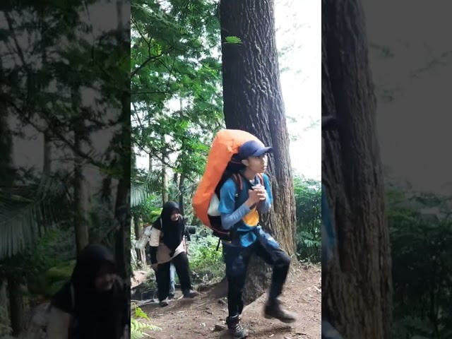 Gunung Guntur #videos #shortsvideo #shorts #short #viral #viralshorts #gunung #gunungguntur class=