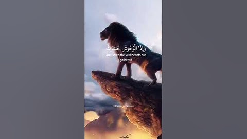 واذا المؤدوة سئلت باي ذنب قتلت سورة التكوير عبدالباسط عبدالصمد