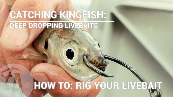 ULTIMATE Live Bait Wire Stinger Rig 