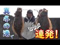 真冬のヒラメ釣りなら港内を狙えっ！