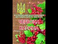 Панченко Єлизавета - конкурсант &quot;ЧЕРВОНА КАЛИНА&quot;