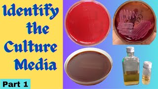 Culture Media | Classification, uses and sterilization technique |practical exam microbiology part 1