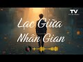 Lạc Giữa Nhân Gian | Nhạc Tâm Trạng | Tò Vò Music