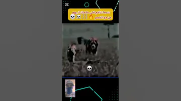 جديد ديدين كلاش اكسبلور Shorts اكسبلور 