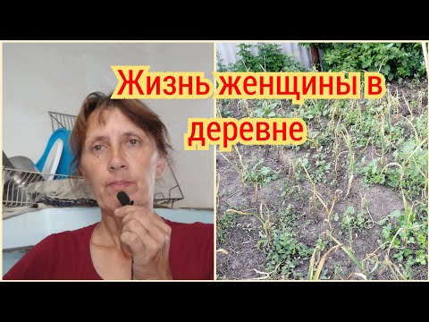 Живу в деревне