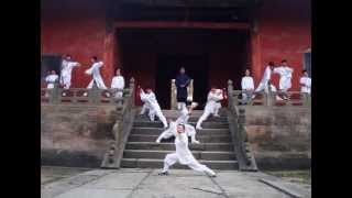 Rare Wudang Footage - Wudang Xuanwu Sword At The Original Yuzhen Palace