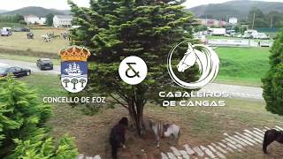 VII Feira de gando de Cangas🐴