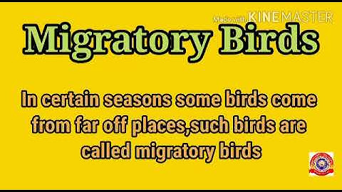 KRSMA#Standard 4 EVS Part 2 Chapter 4 Wonder World Of Birds.