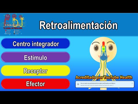 Video: ¿Qué quiere decir con mecanismo de retroalimentación positiva?