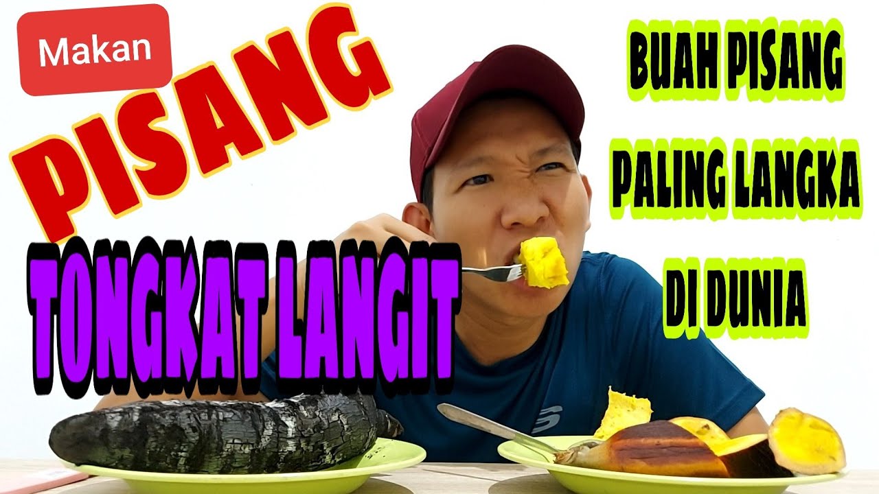 Makan pisang tongkat langit asli dari ambon #makan #pisang 