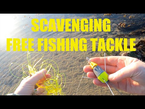 Scavenging for free fishing tackle on the beach - I found £££s of Free  Weights, UK Sea Fishing 