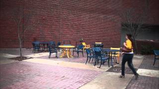 MFA Interactive Design Thesis UX Video Trailer