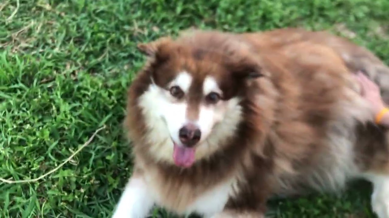 4 มีนาคม 2569