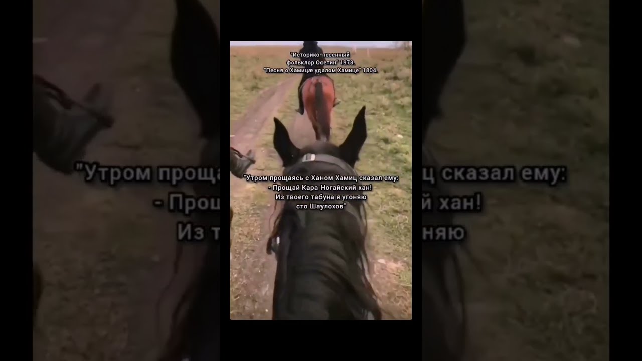 Порно Женщин С Конем Рассказ