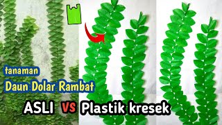 DIY cara membuat tanaman hias DAUN DOLAR RAMBAT dari plastik kresek // ide kreatif dekorasi rumah DIY cara membuat tanaman hias DAUN DOLAR RAMBAT dari plastik kresek // ide kreatif dekorasi rumah