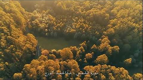سورة الشمس بصوت القارئ عبد الحميد كورج