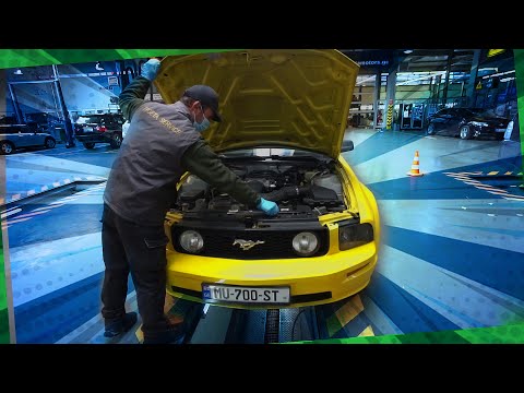 მუსტანგის სერვისი