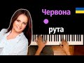 София Ротару - Червона рута ● караоке | PIANO_KARAOKE ● ᴴᴰ + НОТЫ & MIDI