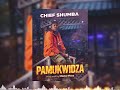 Chief Shumba Hwenje Pamukwidza Official Audio