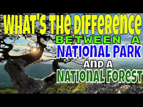 Video: Verschil Tussen National Park En National Forest