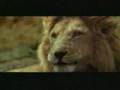 A Bad Day in Africa