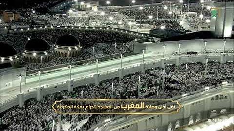 صلاة المغرب للشيخ أ.د. #فيصل_غزاوي السبت 15 رمضان 1446هـ سورة المؤمنون 51-61