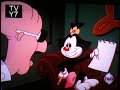 Animaniacs - Is A Cartoon