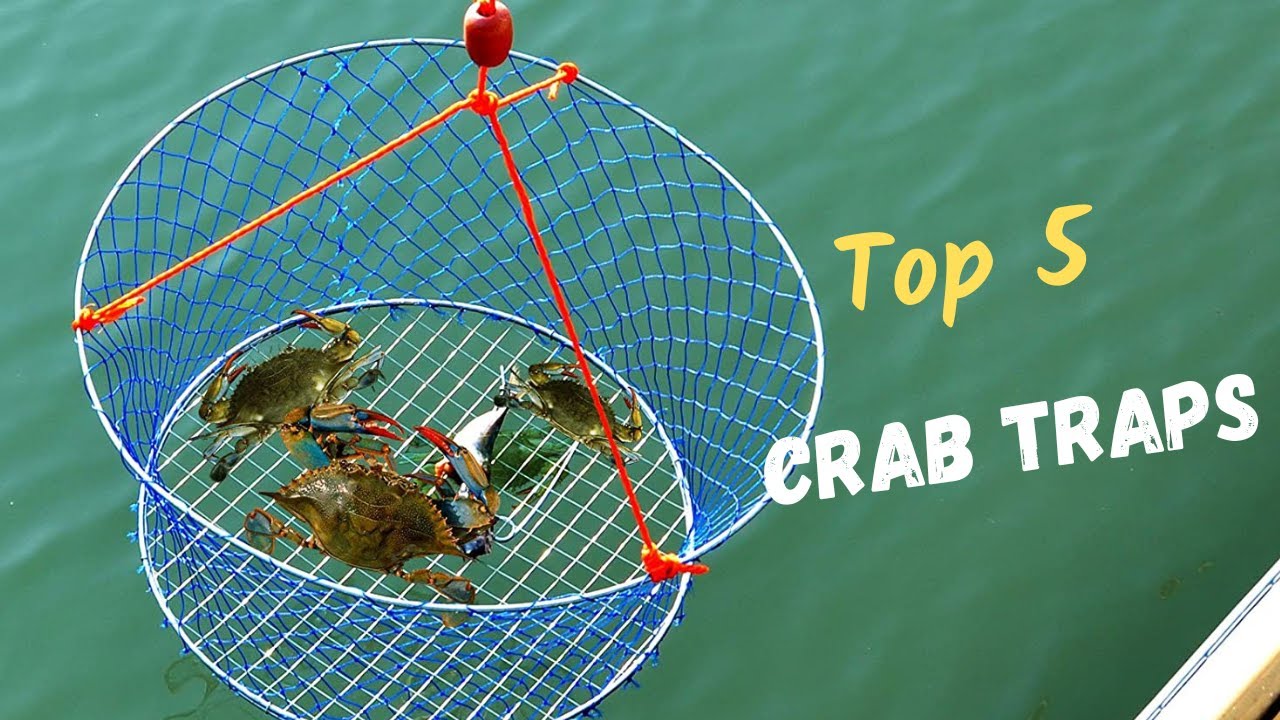 The Best top 5 Crab Traps of 2023