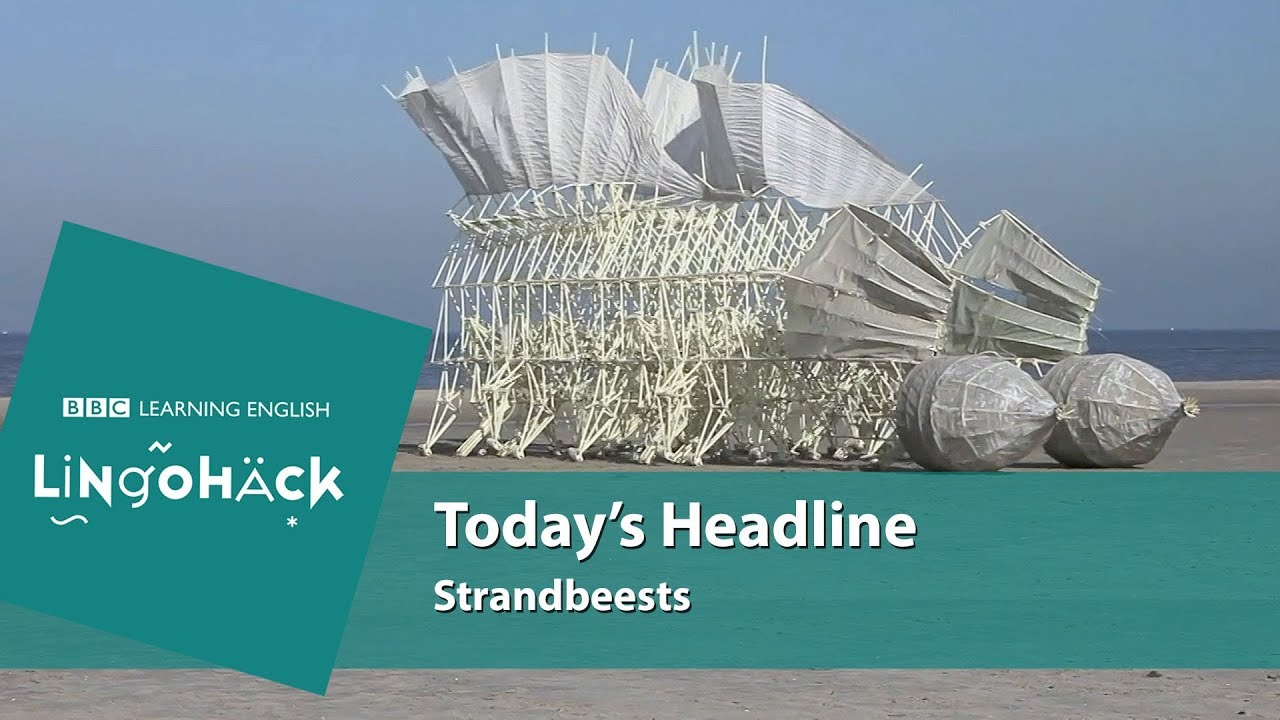 practise driving test Strandbeests - Theo Jansen's mechanical artworks: Lingohack