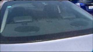 Pollen Counts Break Records