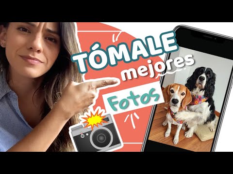 Video: Perro Toma Fotos Con La Cámara Activada Por Frecuencia Cardíaca