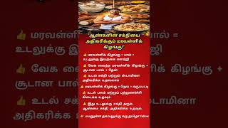 Men! Eat Tapioca This Way &amp; Feel the Difference | Natural Energy Booster! 🔥