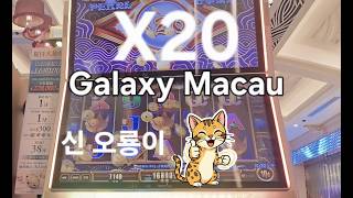 [신 오룡이 잭팟]  SLOT JACKPOTS 老虎机 Casino Slot 슬롯머신 잭팟 screenshot 4