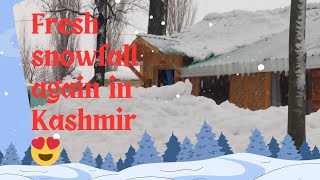 Fresh snowfall in Kashmir again 😍