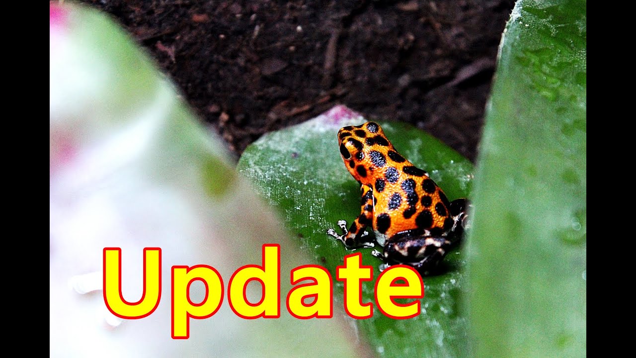 lizard skin grips Quick Update Video : New Additions![HD]