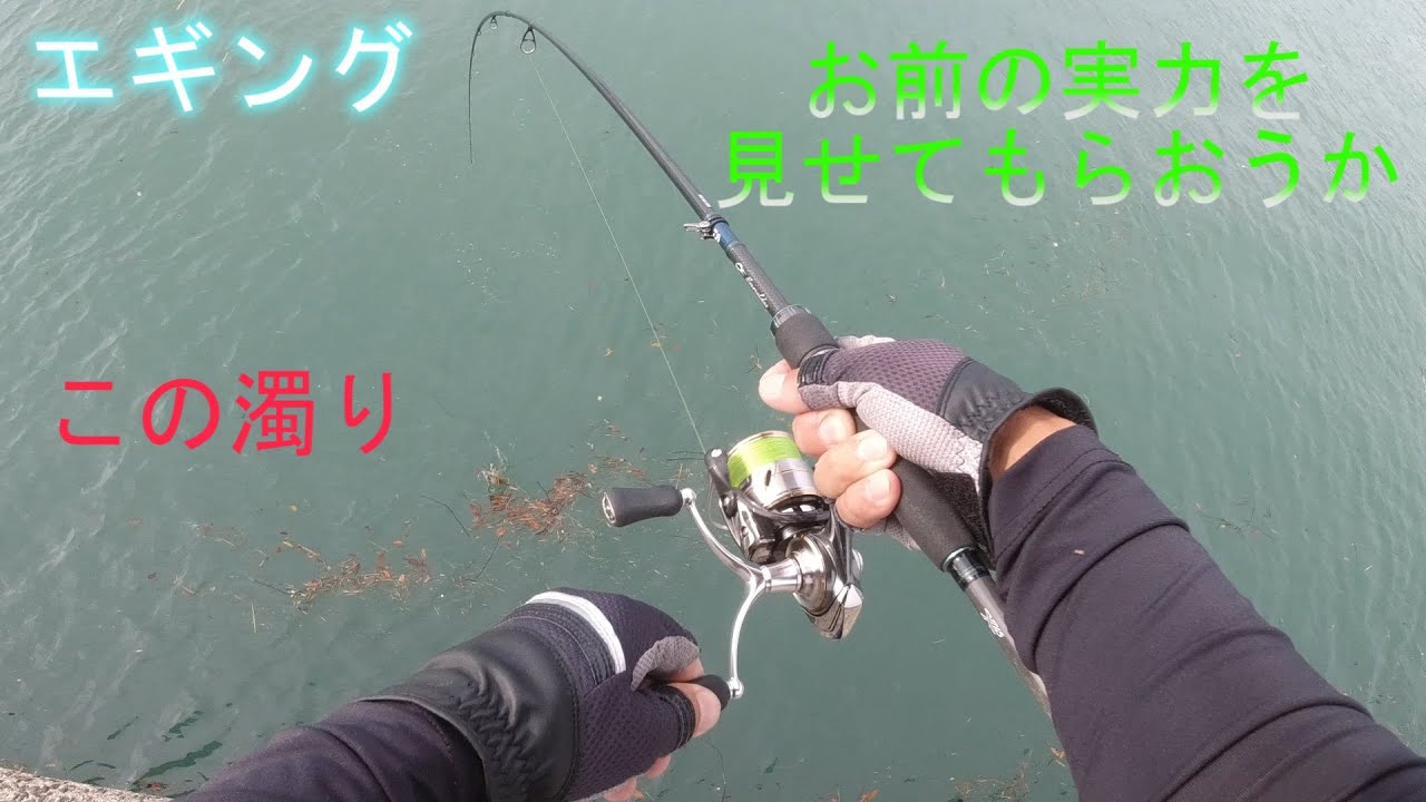 エギング 俺の中の濁り最強のエギ Youtube