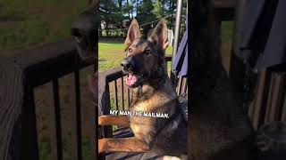 Try not to laugh at the funniest dog on the internet!