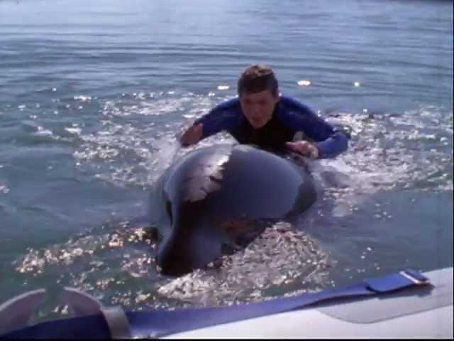 Free Willy 3 the Rescue - Trailer 1 Pg - YouTube