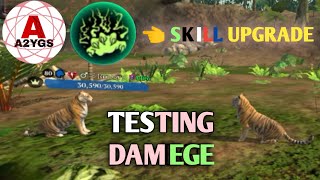 THE TIGER - SKILL UPGRADE AND TEST DAMAGE 😊 ||
