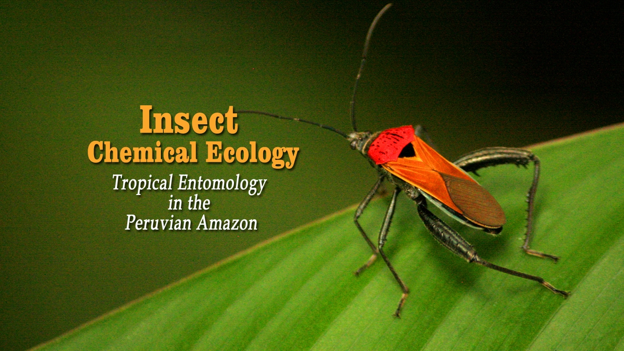 education film Insect Chemical Ecology