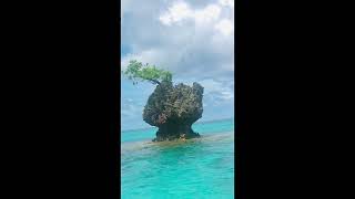 Pesi - Lomaji Kabara Lau Nukuleka