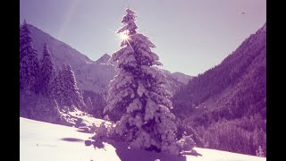 Leise rieselt der Schnee by Ole von Voßkuhl